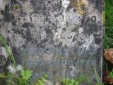 image of grave number 856407